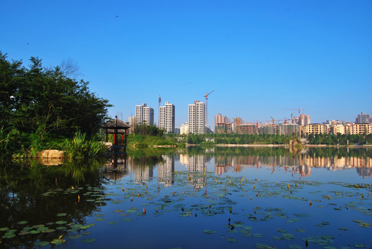 城市生态建设