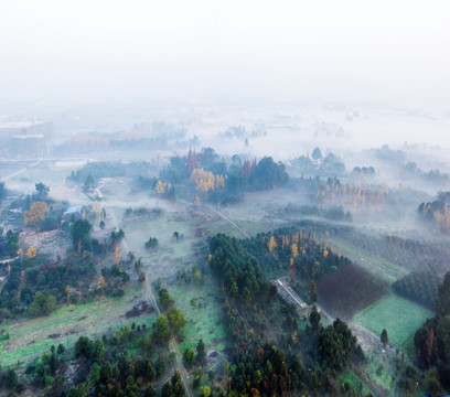 温江乡村晨雾 全景图