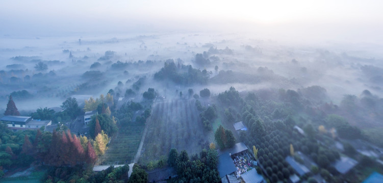 晨雾 全景图