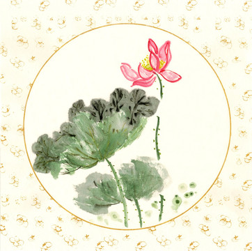 紅荷花 國(guó)畫(huà)荷花