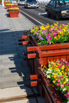 路边花坛 城市美化 市政建设