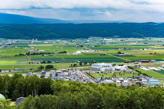 北海道美瑛拼布景观