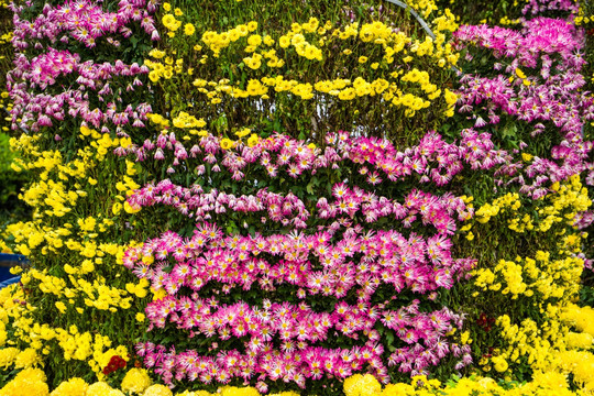 花卉墙 植物墙