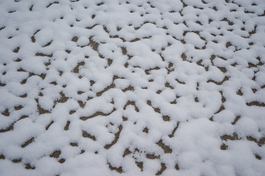 雪地