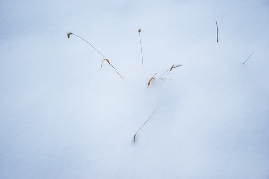 山野雪地