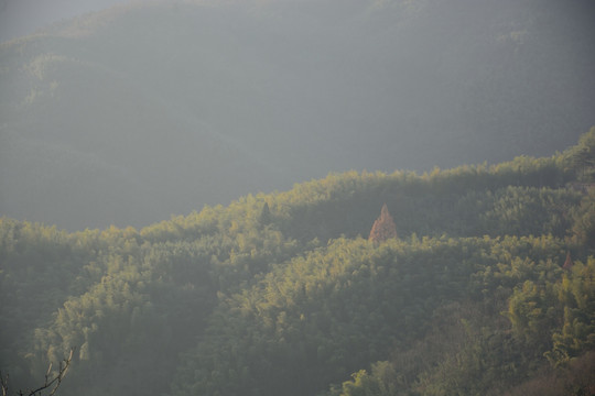 天目山自然保护区