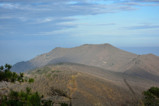天目山自然保护区
