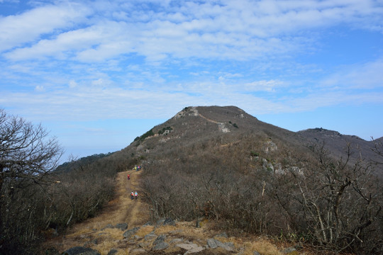 天目山自然保护区