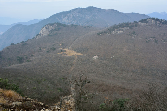 天目山自然保护区