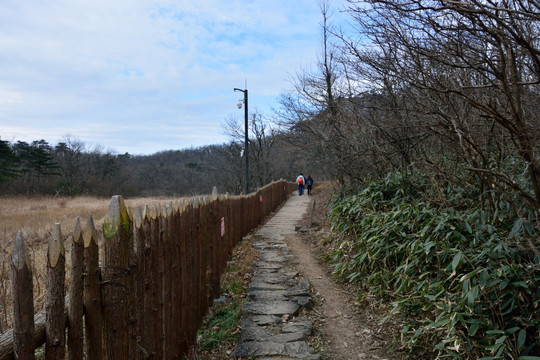 天目山自然保护区