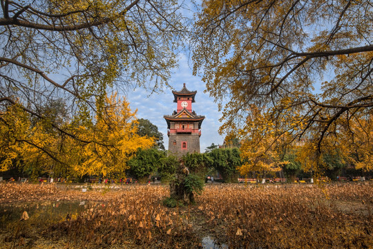 四川大学华西坝钟楼秋色