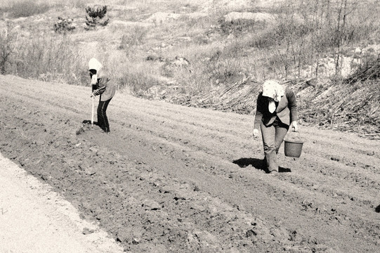 農(nóng)民開荒