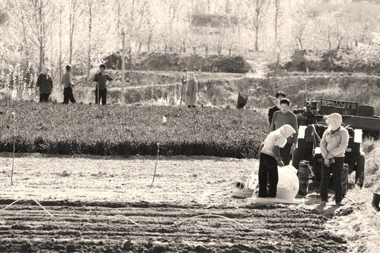 山西农村