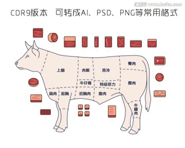 牛肉分部圖