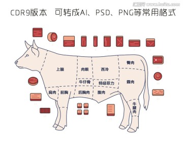 牛肉分部图