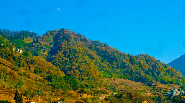 山村 山野