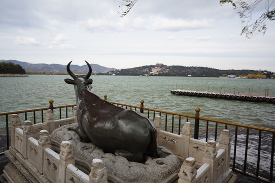 颐和园铜牛与佛香阁