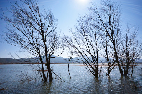 泸沽湖