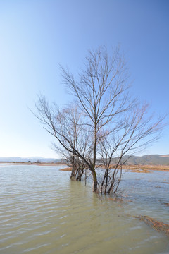 泸沽湖