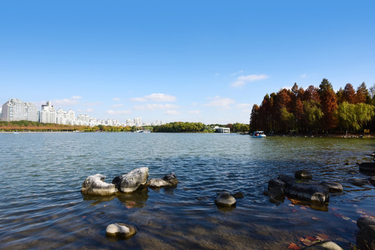 上海世纪公园的镜天湖风光