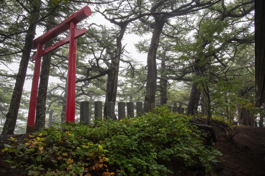 富士山神社