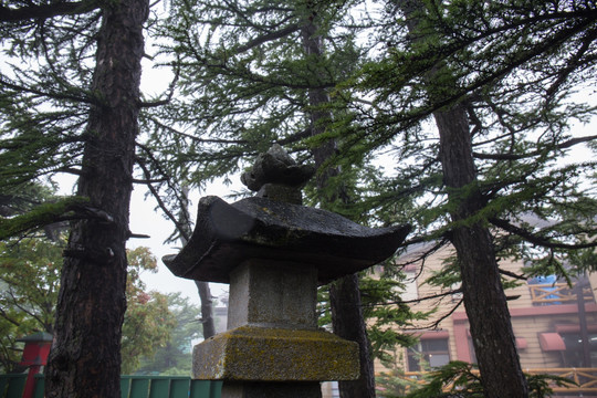 富士山神社