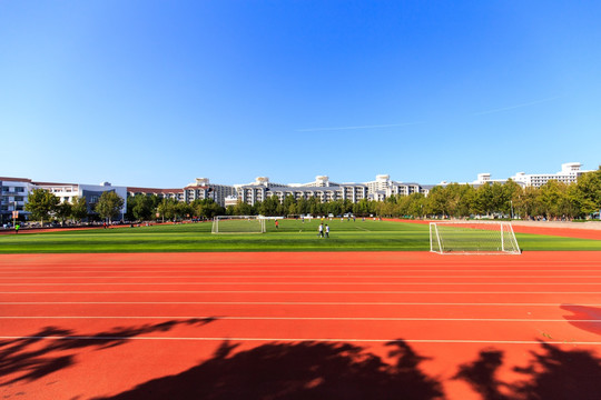 清华大学校园紫荆操场