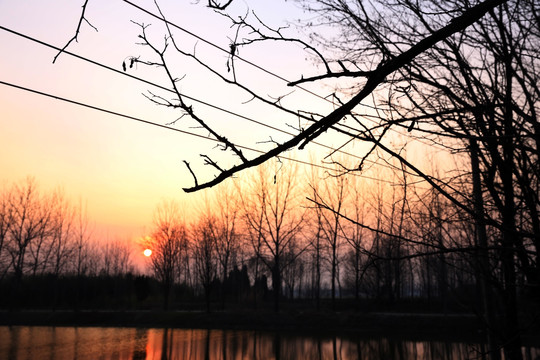 冬日池塘边的夕阳