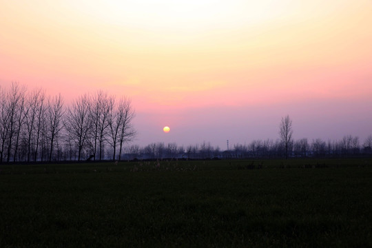 夕阳下的田野