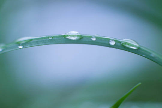 新雨过后