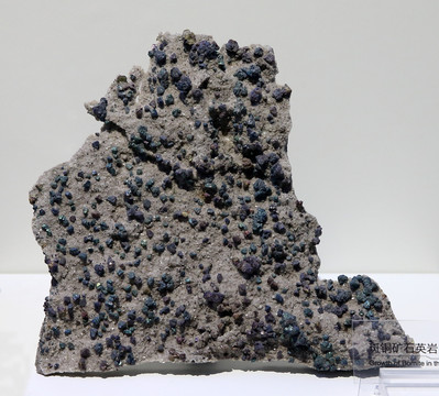 斑铜矿石英岩中生长