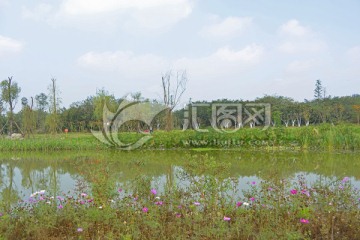 湖畔堤岸 湿地风光