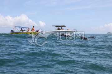 毛里求斯 大海海滩 毛里求斯海