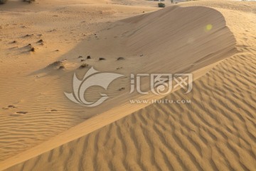 沙漠 流沙 沙丘 戈壁滩 黄沙