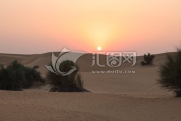 沙漠  戈壁滩 沙漠日落