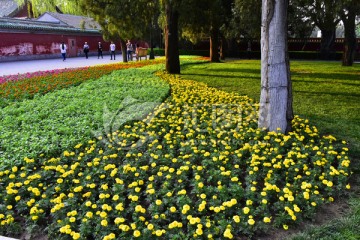 北京地壇公園