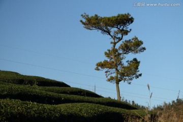 长龙风景