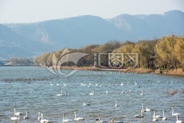 三门峡市国家城市湿地公园