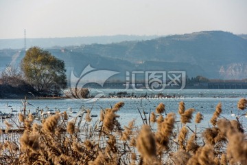 三门峡市国家城市湿地公园