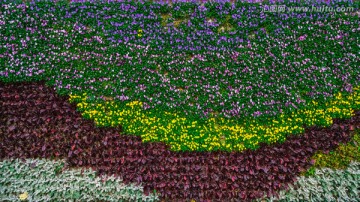 4000万像素 植物墙