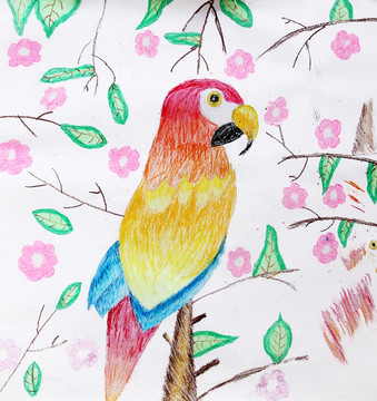 韓式插畫 斑鳩插畫