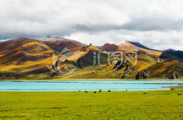 西藏圣湖 自然风景