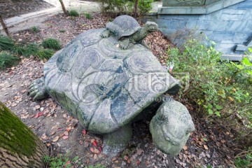 大龟驼小龟石雕