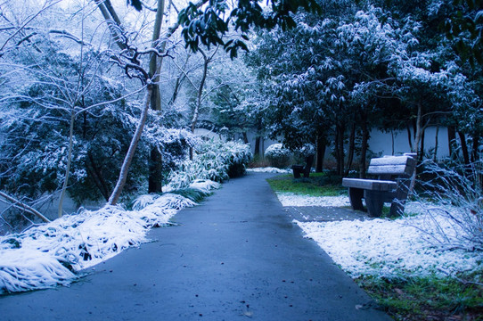 公园雪景