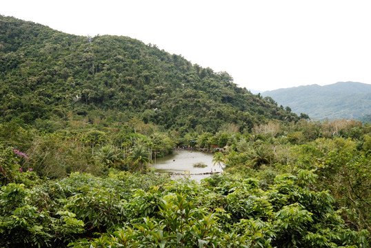 海南三亚呀诺达热带雨林