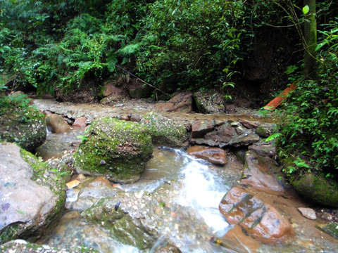 山涧小溪