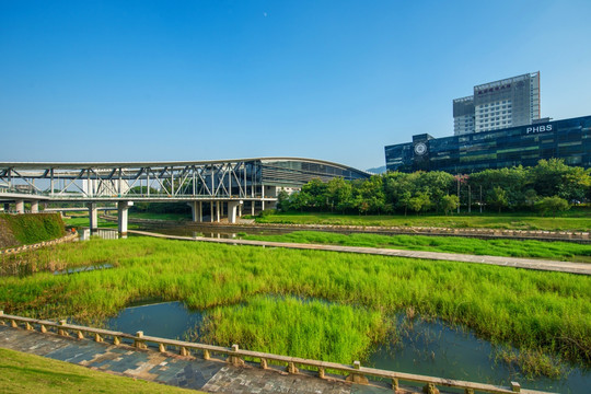 深圳大学城 科技图书馆