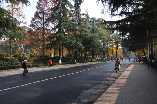 四川大学华西医学院