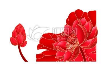 紅荷