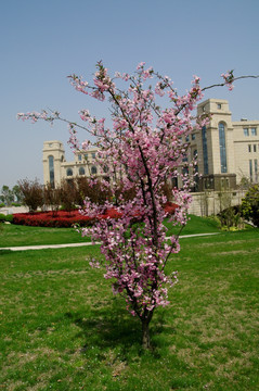 上海复旦大学